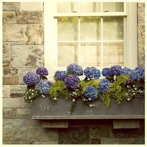 ideas-de-decoracion-balcones-y-ventanas