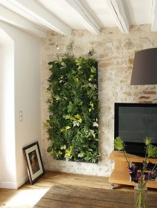 Un-jardin-en-tu-pared