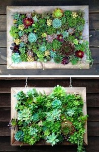 garden-ideas-for-small-spaces